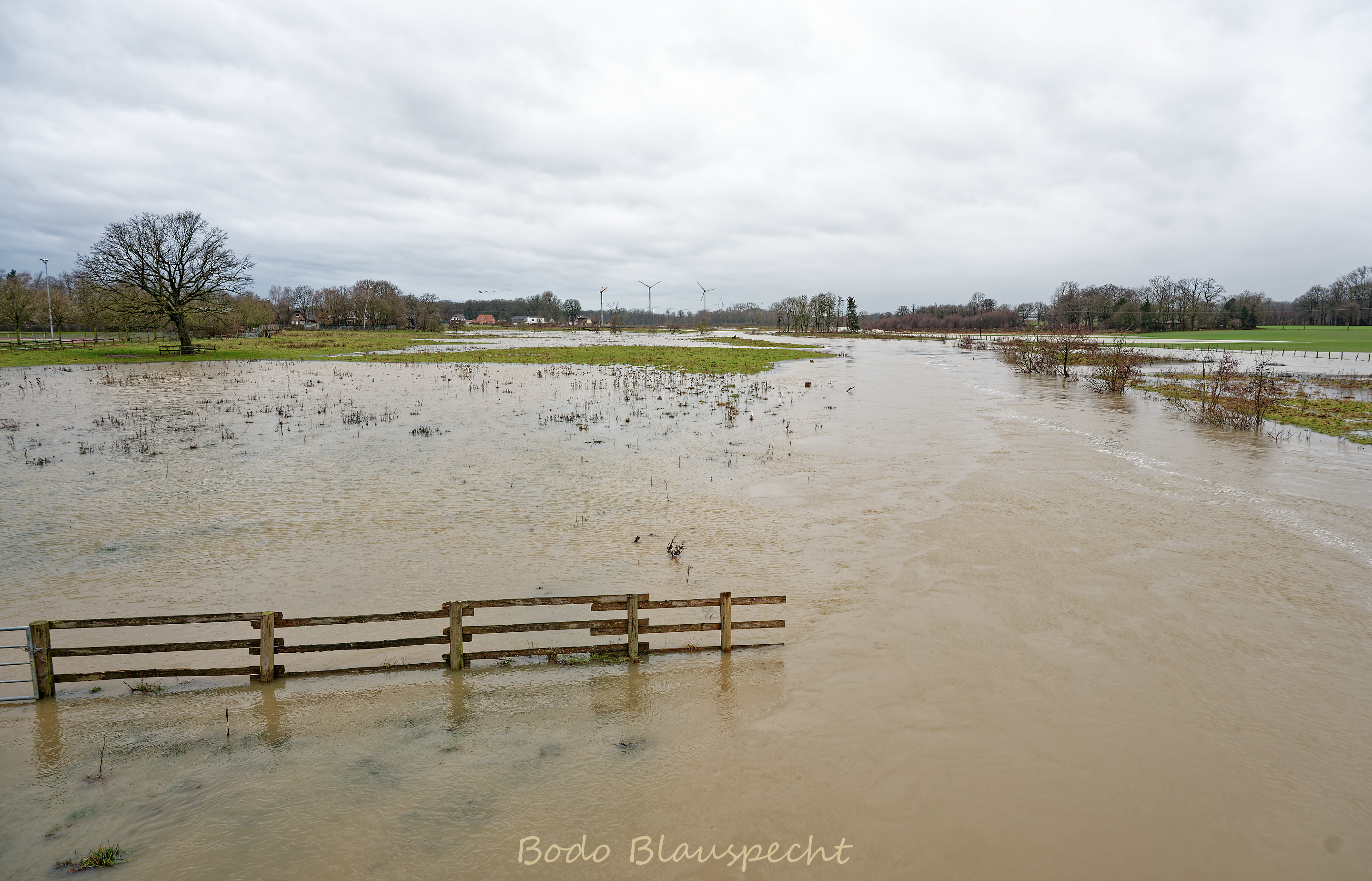 Hochwasser   Steveraue   2023.12.23 16.31 148 WEB